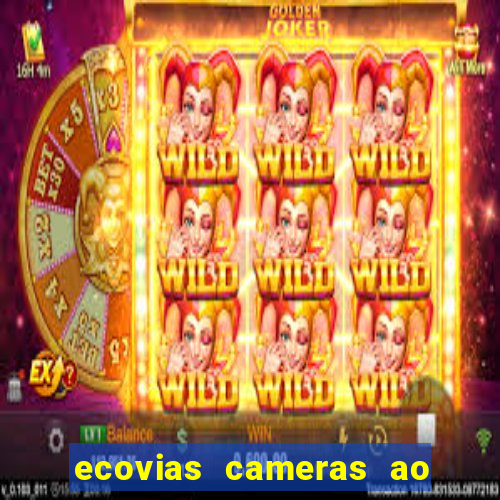 ecovias cameras ao vivo santos